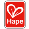 Company icon