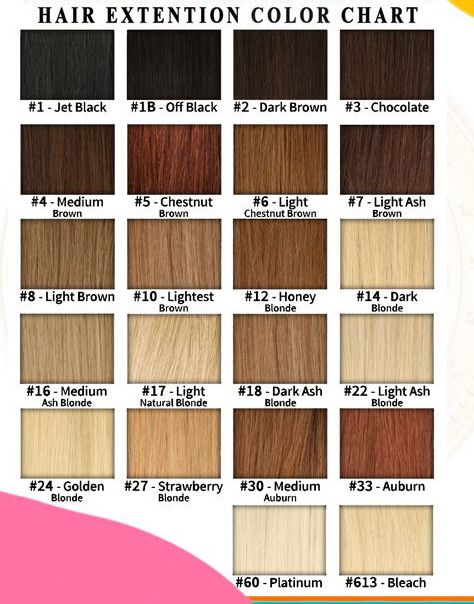Daksha Exim Company Temple Raw Indian Human Hair