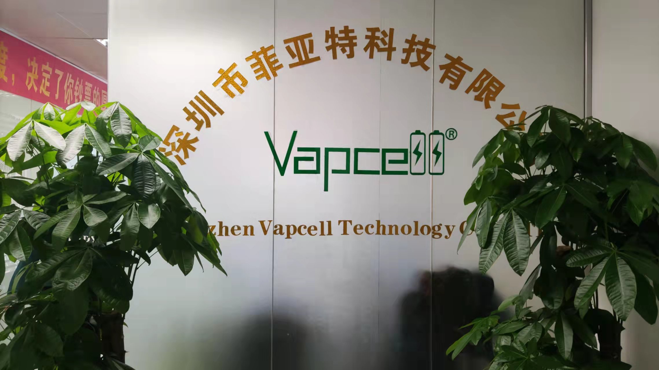 Shenzhen Vapcell Technology Co., Ltd. Battery charger