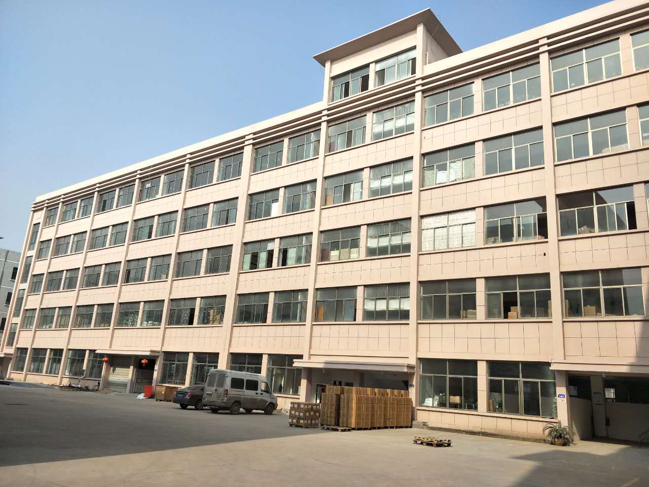 Yiwu Tongle Toy Co., Ltd. Stress Balls
