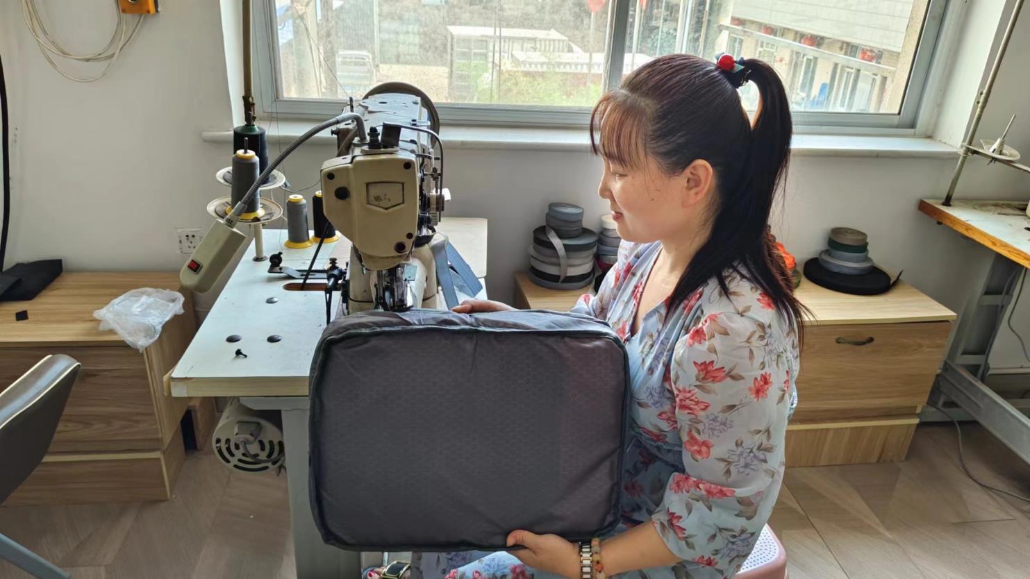 Baoding Dianlun Luggage Accessories Manufacturing Co., Ltd. Laptop Bags