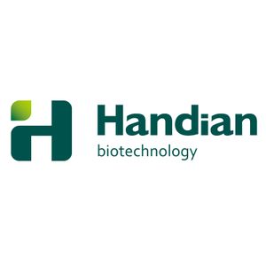 Company icon