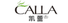 Company icon