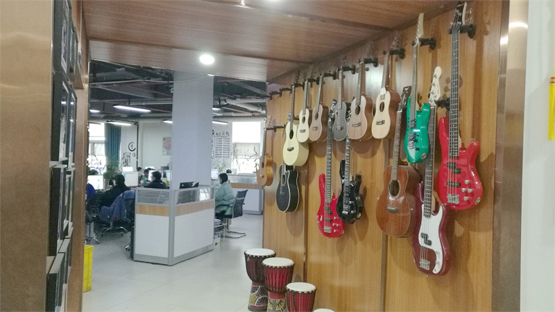 Changsha Bullfighter Musical Instrument Co., Ltd. factory image 3