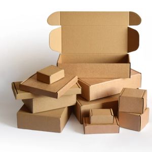 Online shopping brown kraft printed corrugated clothing shoes postal apparel box packaging mailer box