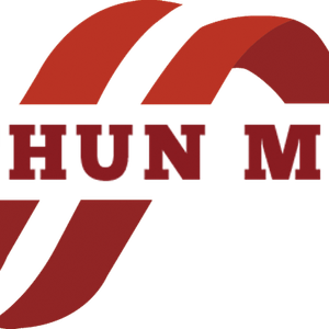 Company icon