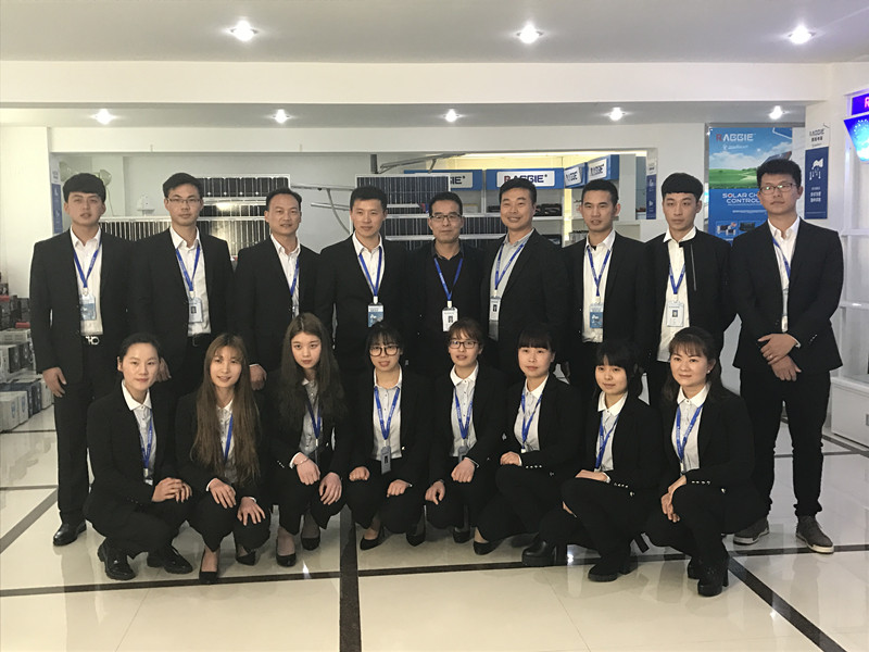 Shanghai Raggie Power Co., Ltd. factory image 1