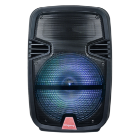 15 inch Audio System Bluetooth SPEAKER
