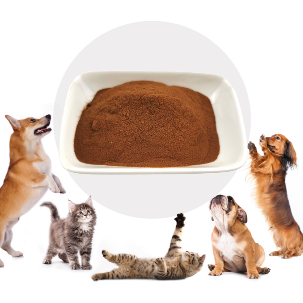 Dry Cat Food Palatant Chicken Hydrolysate Pet Digest Pure chicken liver powder