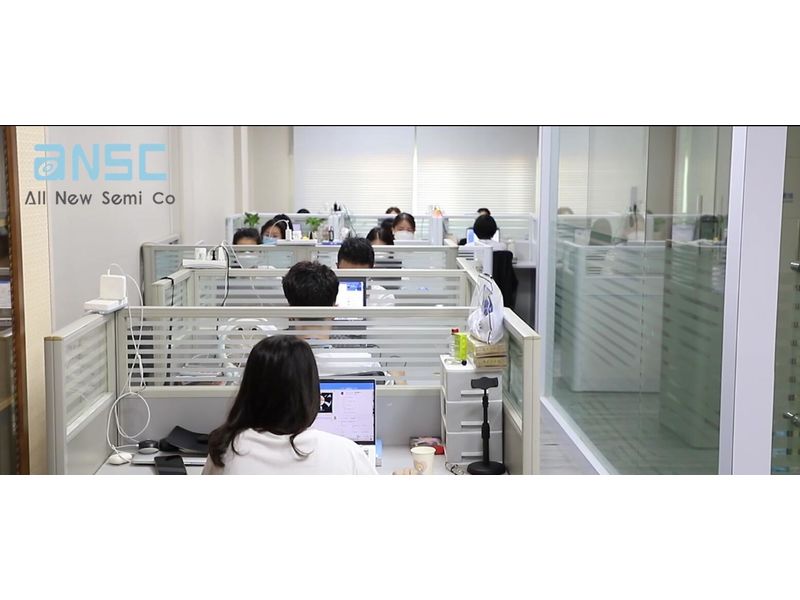 Shenzhen Allnewsemi Electronic Co., Limited Power Management ICs