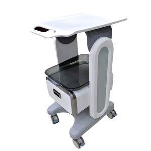 High Quality Removable Wheels Body Facial Spa Portable Beauty Machine Salon High Performance Beauty Salon