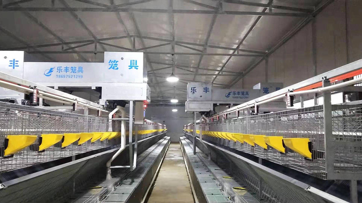 Shaoxing Lefeng Cage Equipment Co., Ltd. rabbit cages