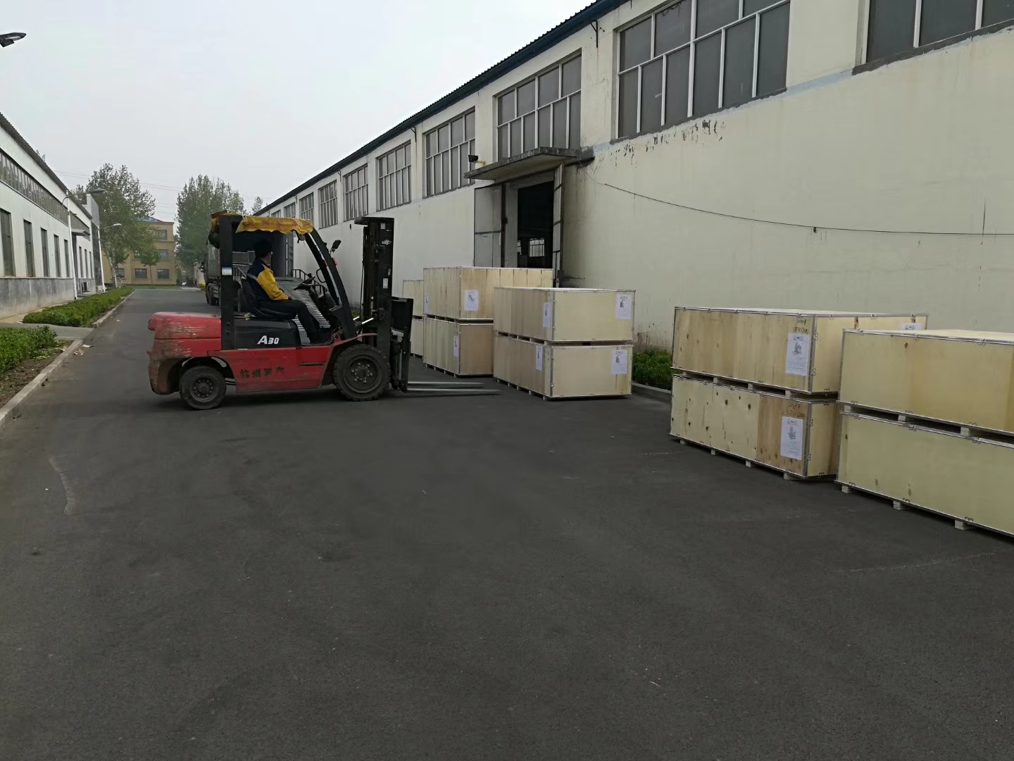 Dezhou Aoshengjia Fitness Equipment Co., Ltd. Gym Equipment