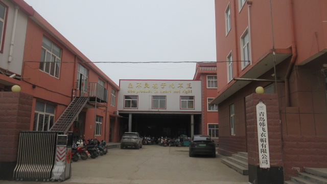 Qingdao Hanbee Garments & Caps Co. Ltd Knitted Beanies