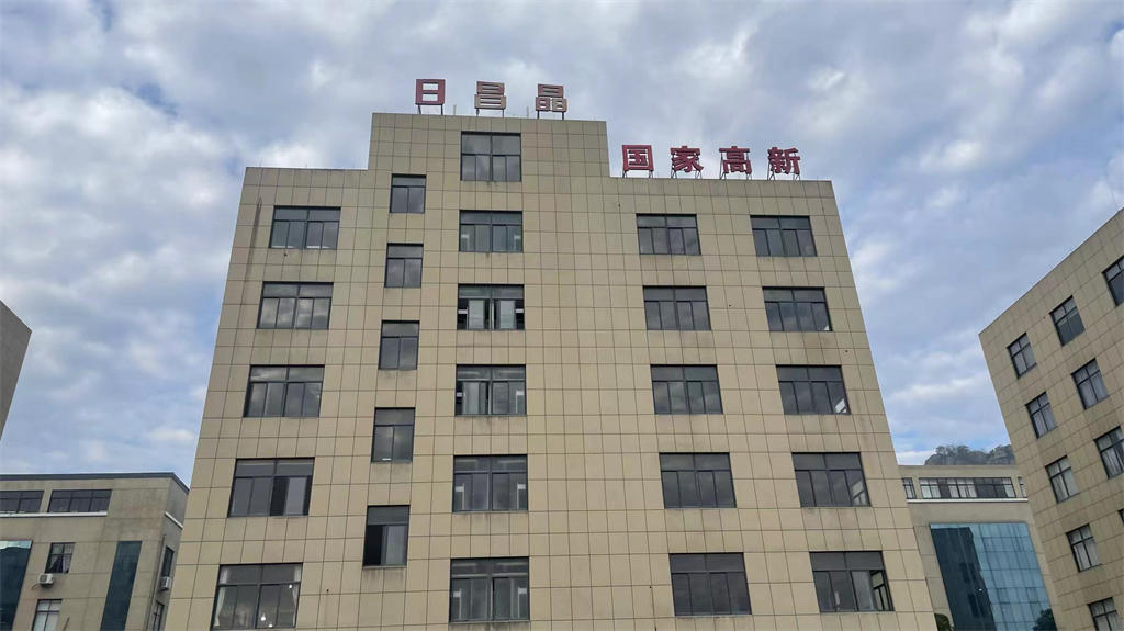 Taizhou Richangjing Lighting Co., Ltd. Christmas Lighting