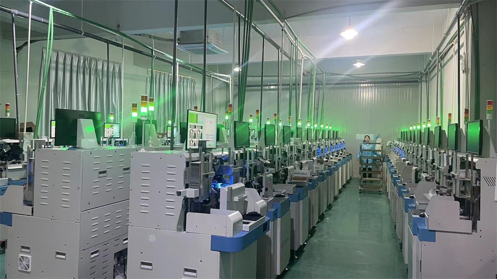 Taizhou Richangjing Lighting Co., Ltd. Holiday Lighting