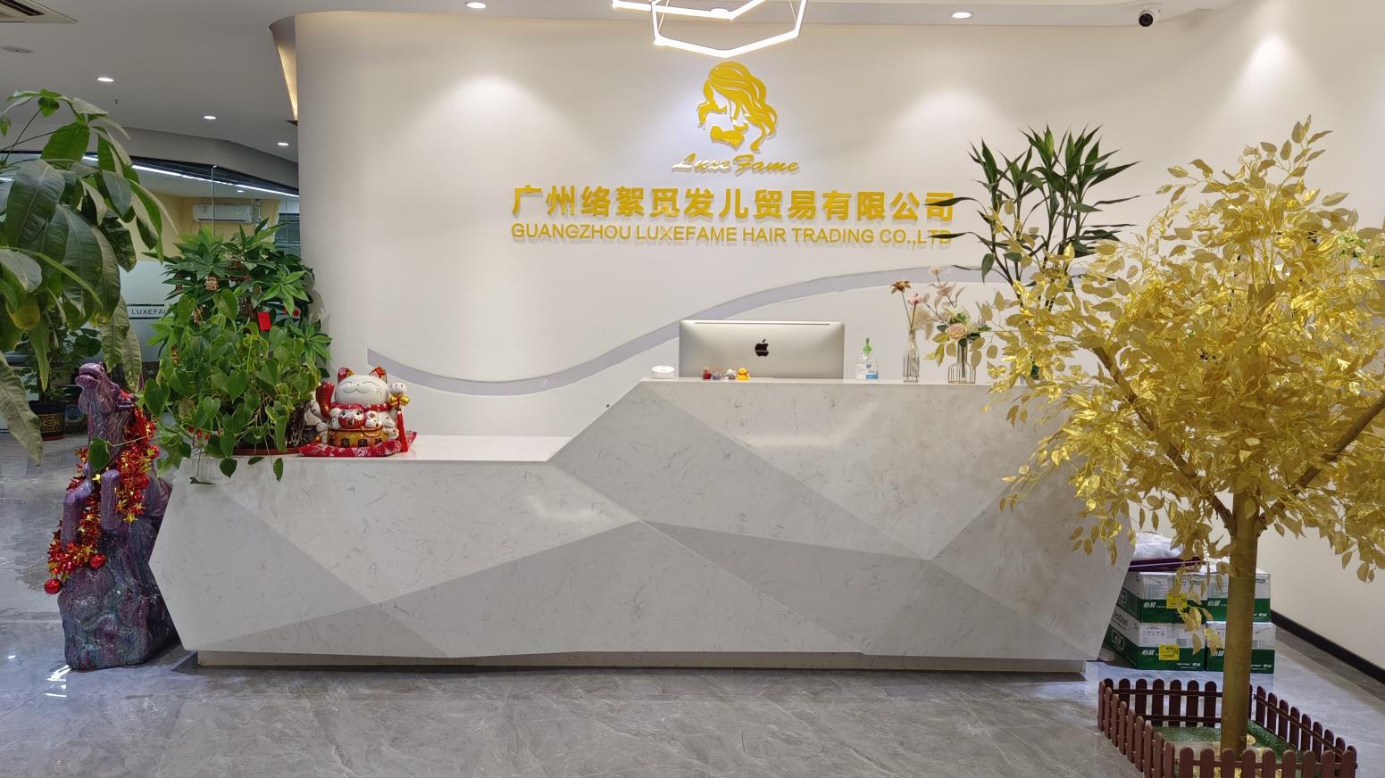 Guangzhou Luxefame Hair Trading Co., Ltd. Lace Front Wigs