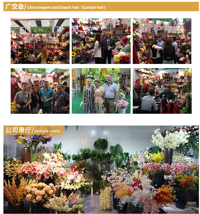 Henan Yongnuo Trading Co., Ltd. factory image 1
