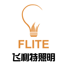 Nantong Flite Technology Co., Ltd. logo