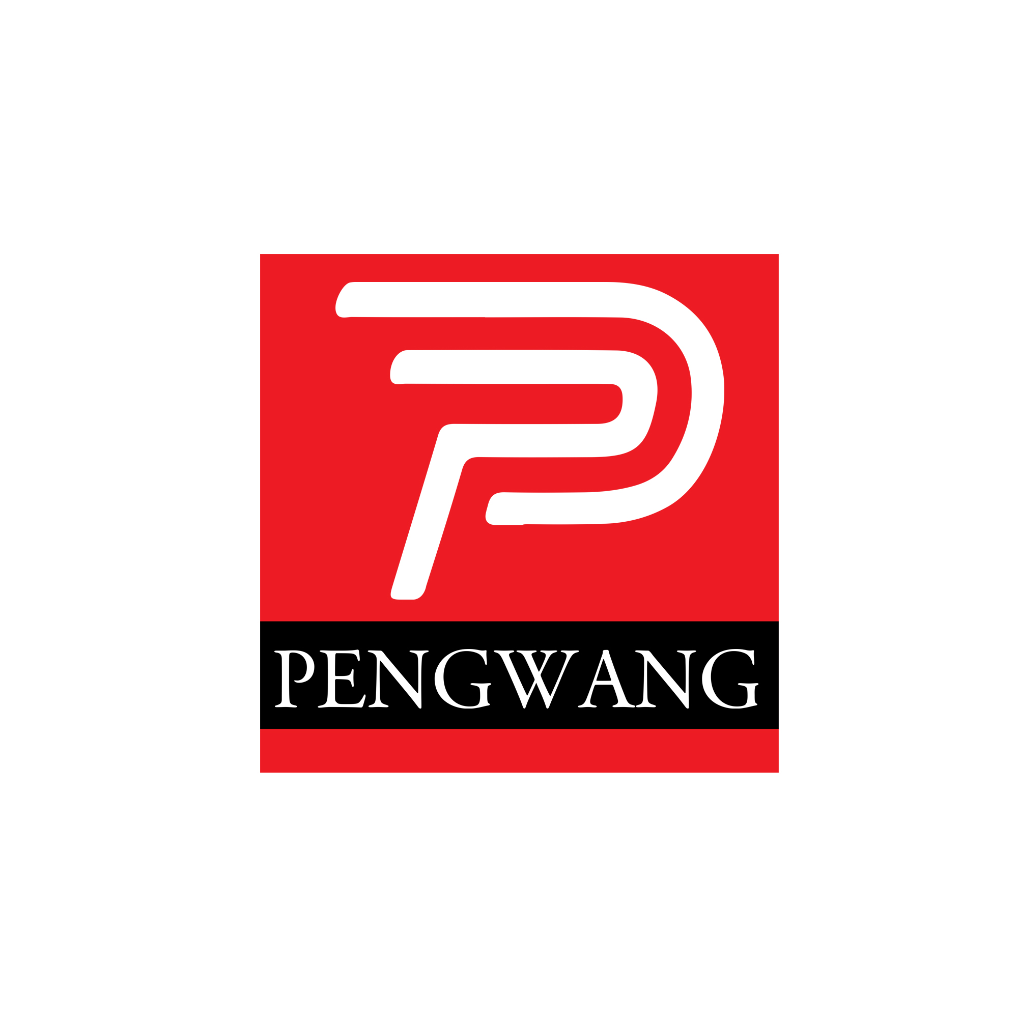 Shanghai Pengwang Machinery Co., Ltd. logo