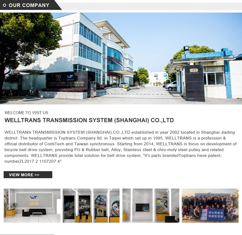 Welltrans Transmission System (Shanghai) Co., Ltd. Timing Belts