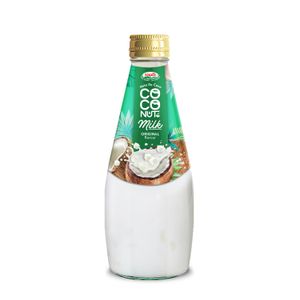 290ML Healthy Beverage Coconut Milk Drinks with Nata De Coco Fruit Flavor Wholesale Price - OEM/ODM Soft Drinks Manufacturer