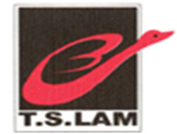 Company icon