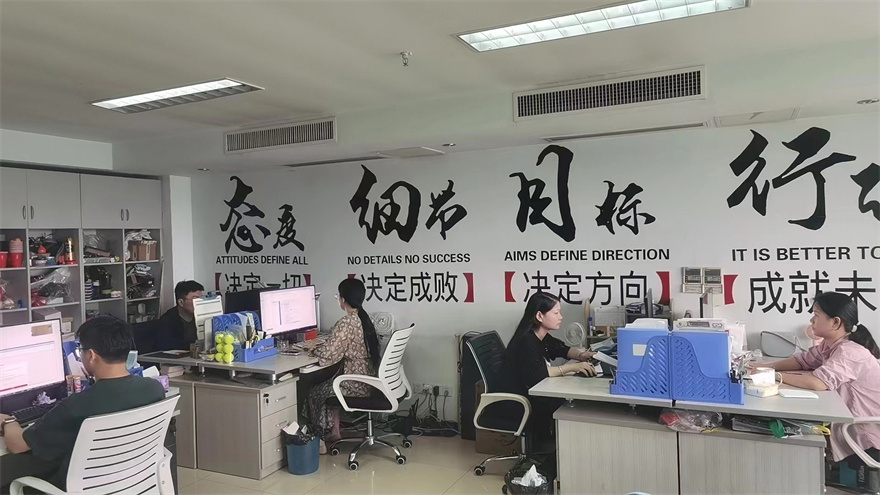 Nanjing Bewe International Trading Co., Ltd. Pickleball Paddles