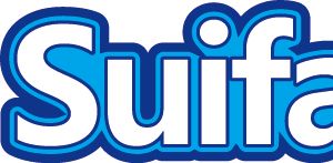 Company icon