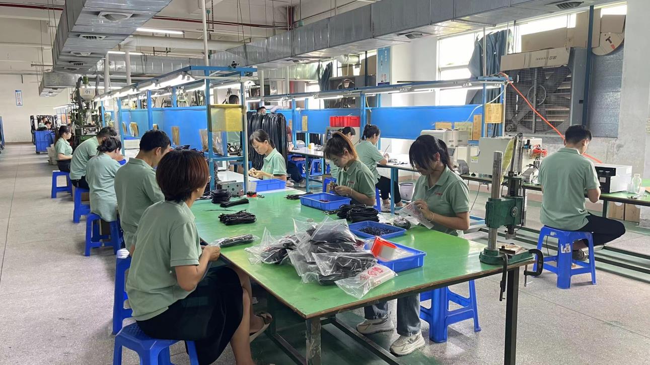 Dongguan Flyroyal Electronics Co., Ltd. Wire Harness
