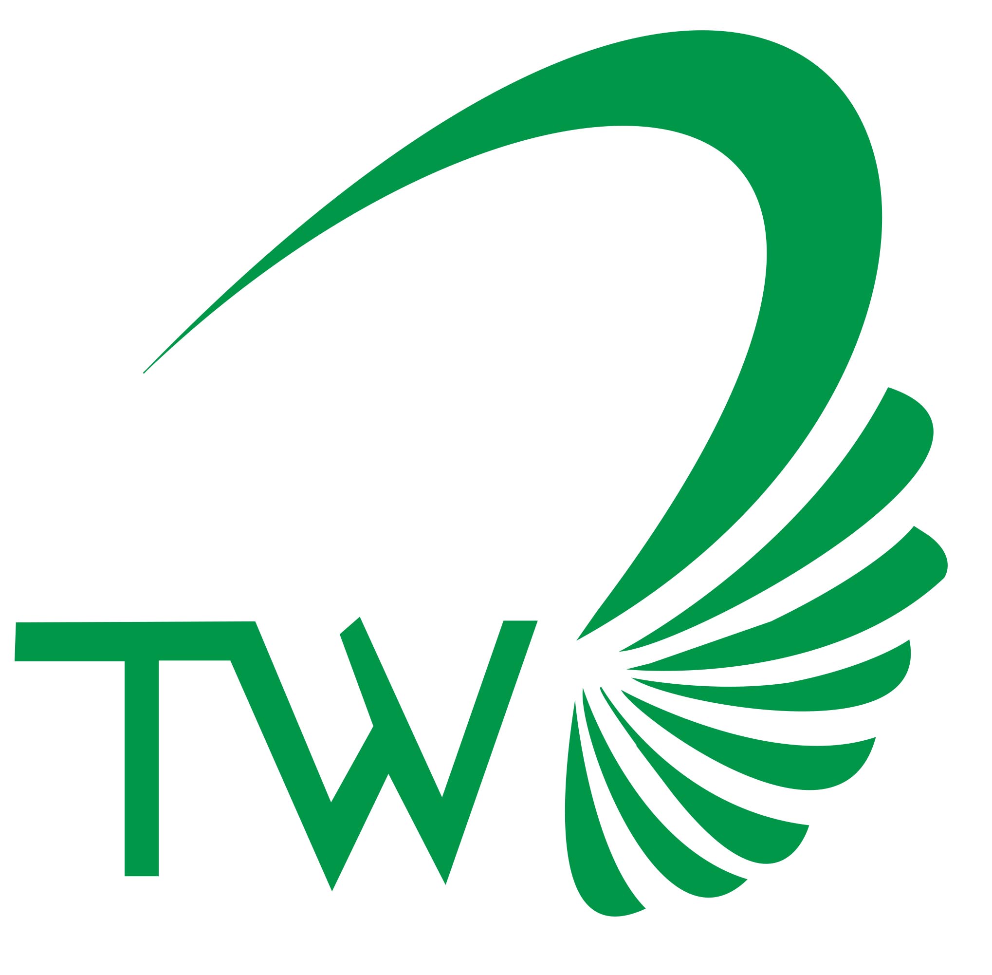 Shanghai Tingwell Headwear Co., Ltd. logo