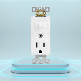 Toggle Switch and Receptacle Combination Device Single Pole