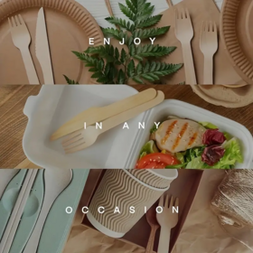 Good high quality wooden spoon biodegradable wooden disposable cutlery set 100% Natural Birch Eco-Friendly Disposable Utensil Set