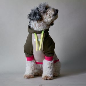 Qiqu Pet Supplies Custom New Designer luxury Dog Multicolored Hoodie  Pet Clothing for dogs 2024 new