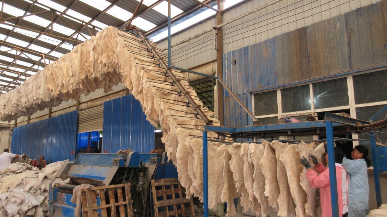 Qinyang Hesheng Leather Industry Co., Ltd. factory image 3