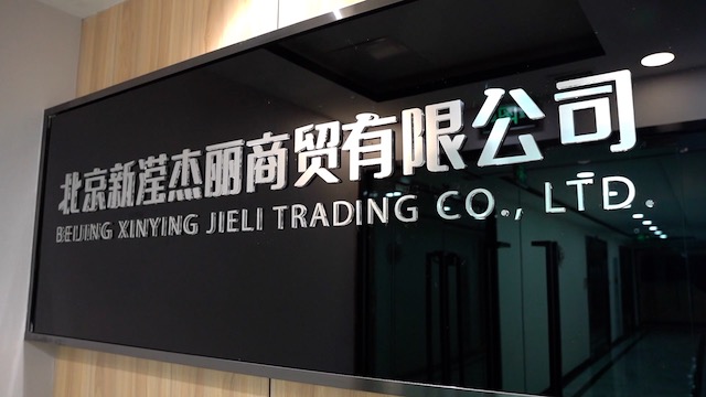 Beijing Xinying Jieli Trading Co., Ltd. Synthetic Hair Wig