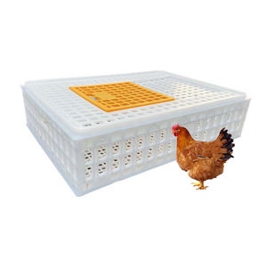 Factory Direct Sale Low Price Thicken Self-Locking Assembly Chicken Duck Pigeon Rabbit Plastic Chicken Cage/Turnover Basket