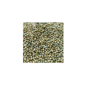 Pearl Millet Bajra Millet Grain