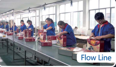 Ningbo Holdfine Kitchenware Co., Ltd. Fry Pan