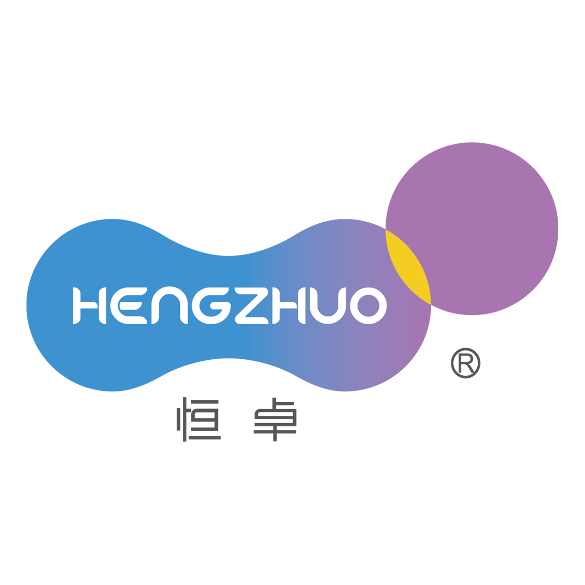 Jiangmen Hengzhuo Salon & Beauty Equipment Co., Ltd. logo
