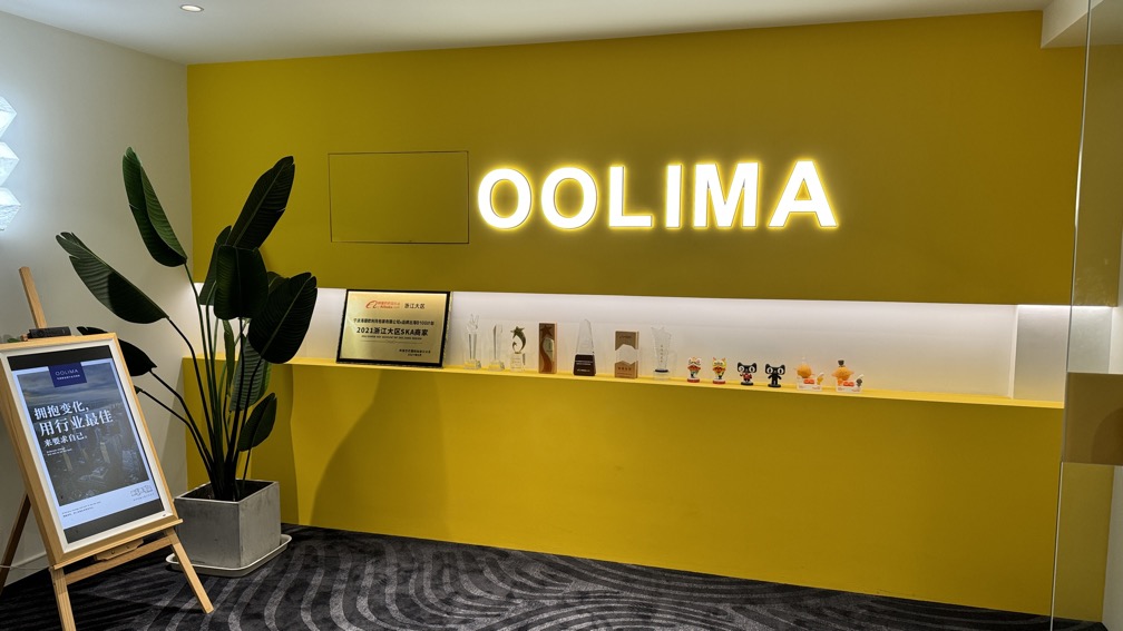 Ningbo Oolima Pack Co., Ltd. Salad Bowl