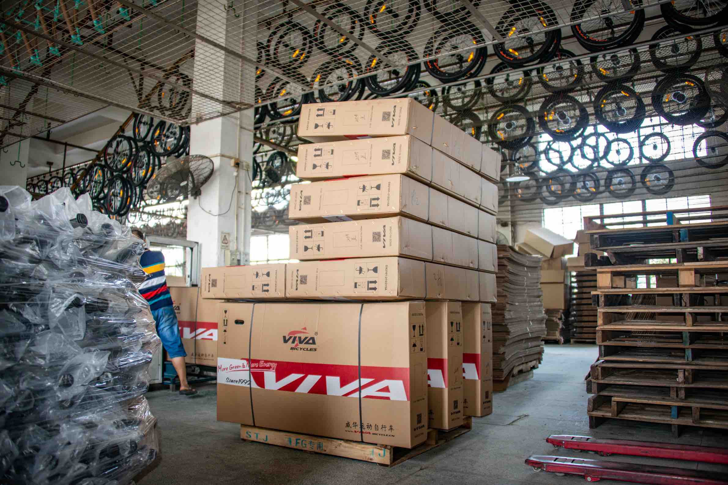 Viva Corporation Limited E-Bike