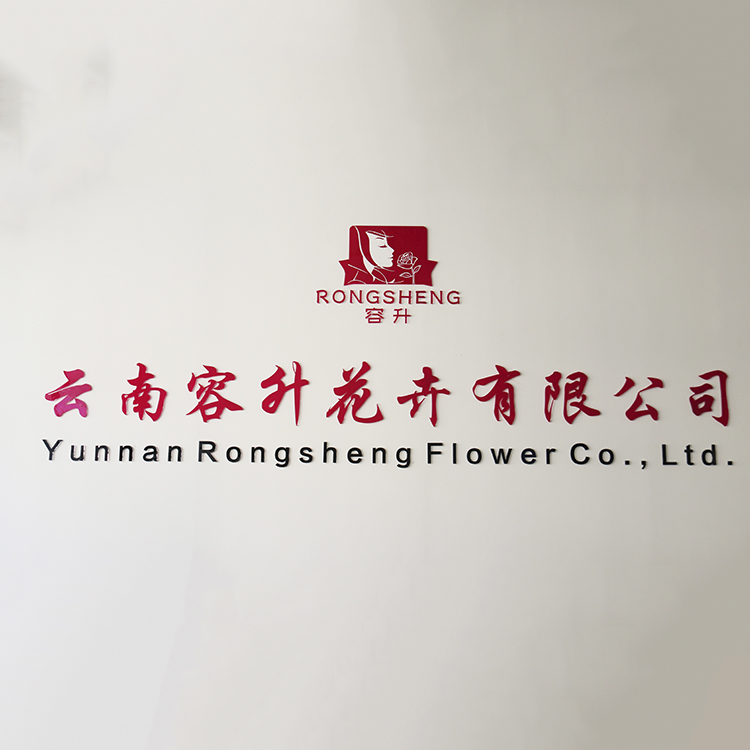 Yunnan Rongsheng Flower Co., Ltd. factory image 1