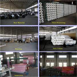 Suzhou King Young Textile Co., Ltd. softshell fabric
