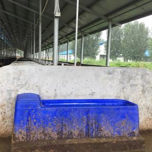 Other Animal Husbandry Equipment  Automatic Water Trough  Livestock Waterer