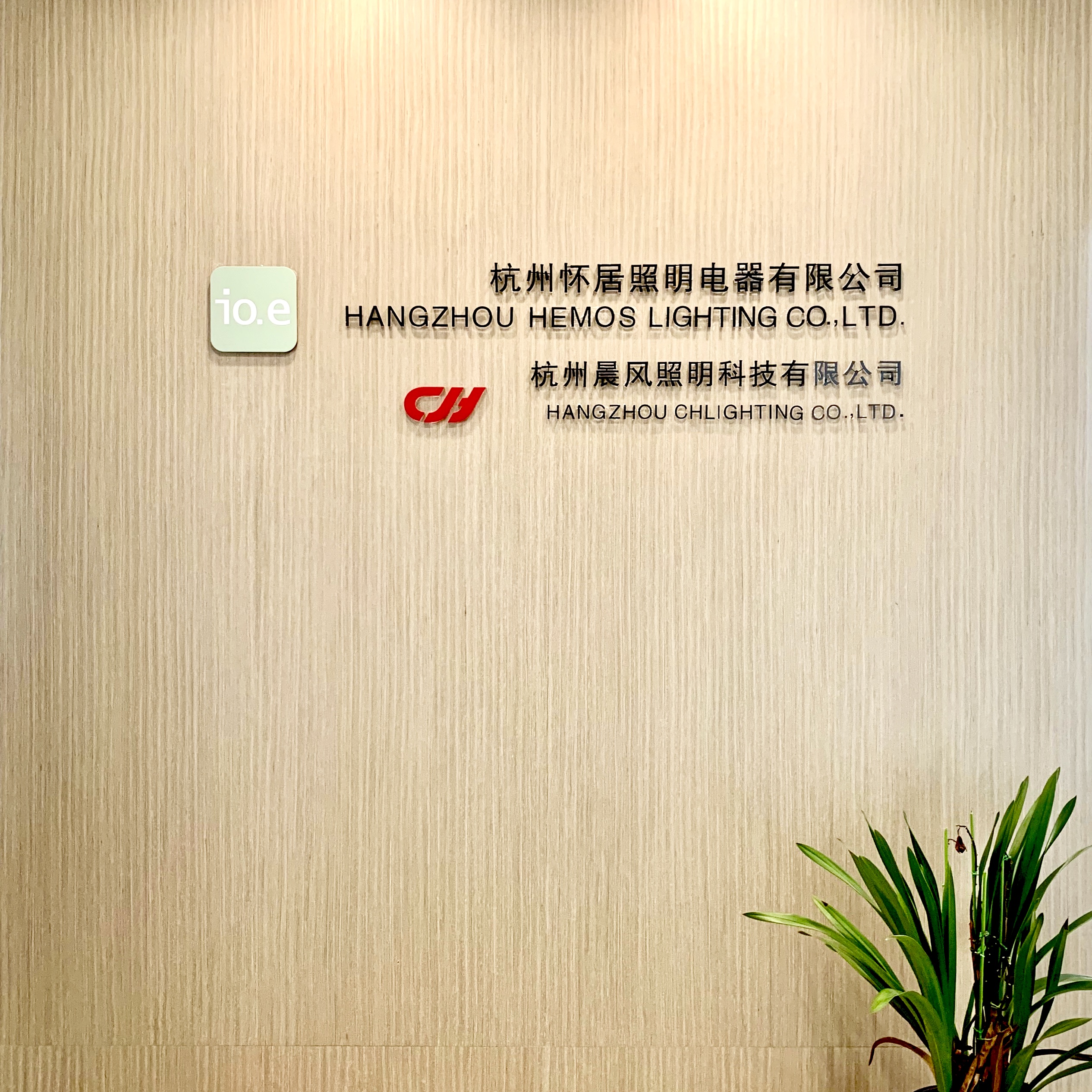 Hangzhou Hemos Lighting Company Limited Smart LED Bulbs