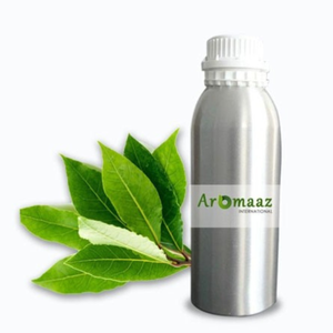 Essential Oil Global Supplier Selling Top Quality Bay Leaf Essential Oil Manufacturer for Bulk Import export for Cosmetics