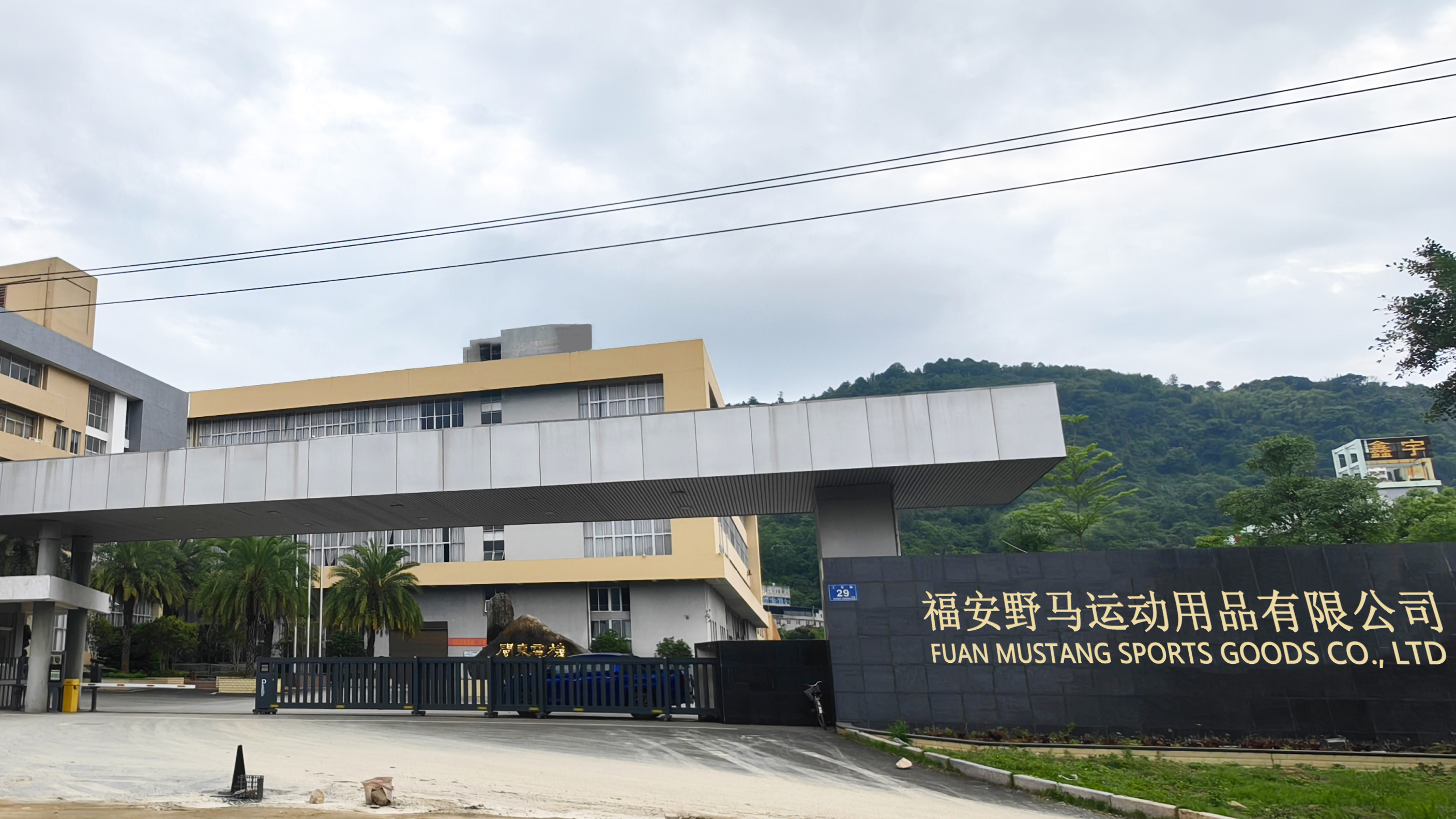 Fuan Mustang Sports Goods Co., Ltd. Product customization