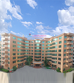 Guangdong Hangyang Flower Co., Ltd. Artificial Flowers
