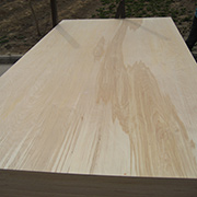 Linyi Sealand Import&Export Co.,Ltd factory image 4